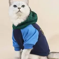 Hoodie M
