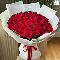 60 Red Roses