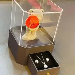 Elegant Teddy Gift