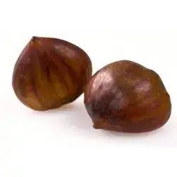 Chestnut