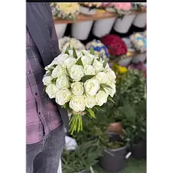 25 Rose