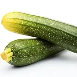 Zucchini