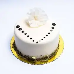 Vanilla Cake - 6 Person