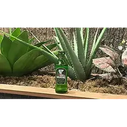 Soda Water