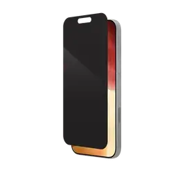 17 pro max privacy screen
