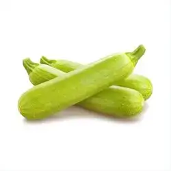 Zucchini