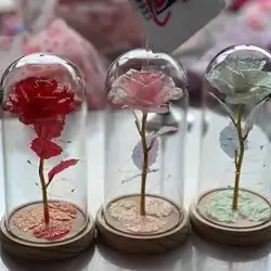 Flower in glass 