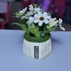 Plastic Plant