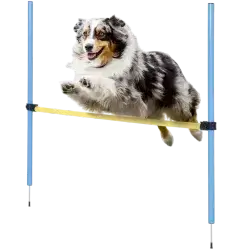 zoofari Dog Jump Hoop