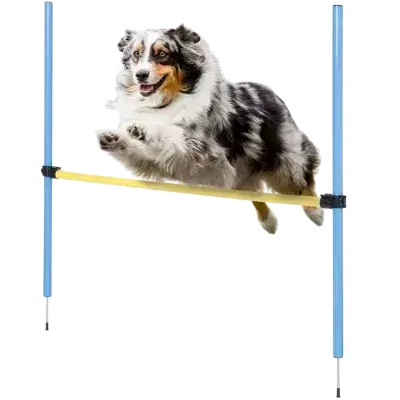 zoofari Dog Jump Hoop