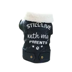 E292 Pet Clothes Leather