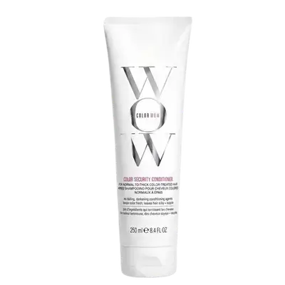 Color Security Conditioner for Normal to Thick Color Treated Hair 250ml _ COLOR WOW