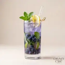 Blueberry Mojito with Fresh Lemon & Mint