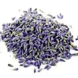 Lavender ( new)