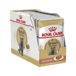 Royal Canin British Shorthair Adult in Gravy 12x85g