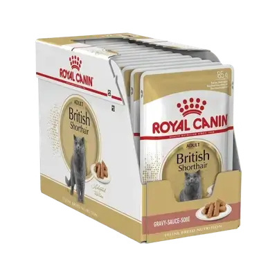 رويال كانين بريتيش شورتهير (للقطط البريطانية) في المرق 12x85g