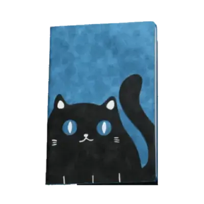 E697 Notebook