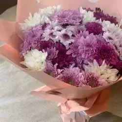 Pink & White Dawoodi