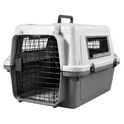 Pet Carrier Box Type B 55cm