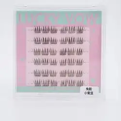 cluster lashes; requires no glue and no remover