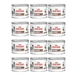 Royal Canin Recovery 12×195g