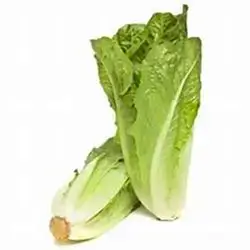 Lettuce Local Kg