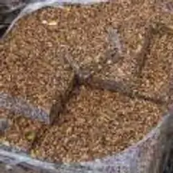 Sesame Seeds Without Sugar