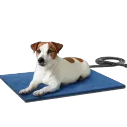 Pecute Pet Heating Pad