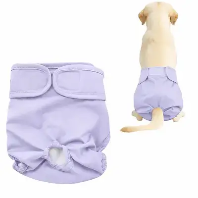 Dog Diaper S