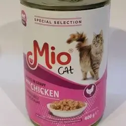 Mio Cat
