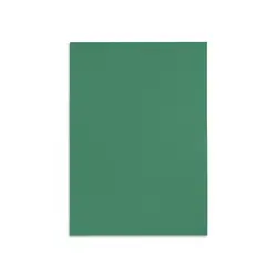 canson paper 70 x50cm - - green