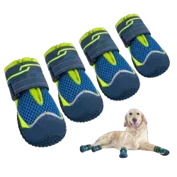 Dog Shoes
