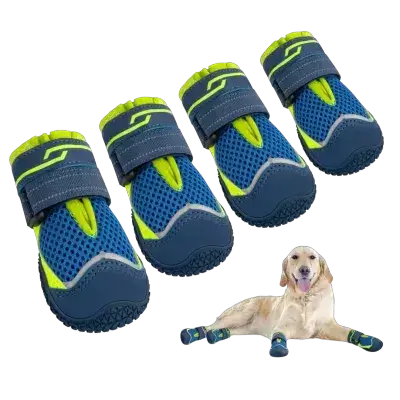 Dog Shoes