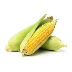 Sweet Corn, 1 Pack