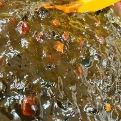 Tamarind