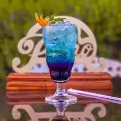 Blueberry Mojito