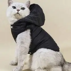 Hoodie M