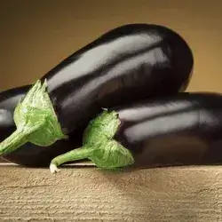 Eggplant 