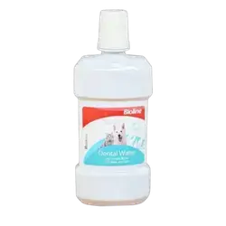 Dental Water 300ml