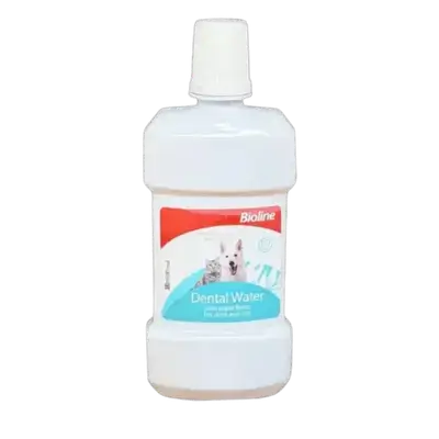 Dental Water 300ml