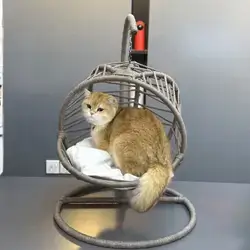 Hand-Made Pet Swing