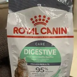 Digestive