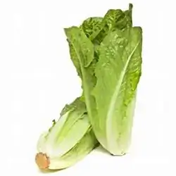 Lettuce Import, 1kg