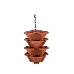 Strawberry Makreme 4Pcs Brown