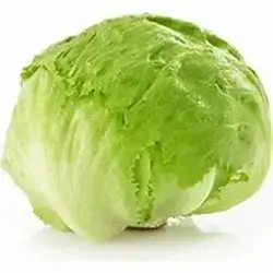 Lettuce Iceberg Kg