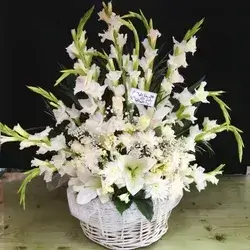 Basket Of Flowers