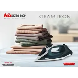 Steam Iron