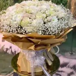 چەپکی سپی دیاری