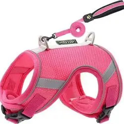 Soft Leash & Harness M