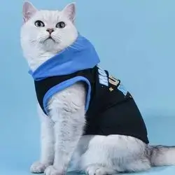 Hoodie S